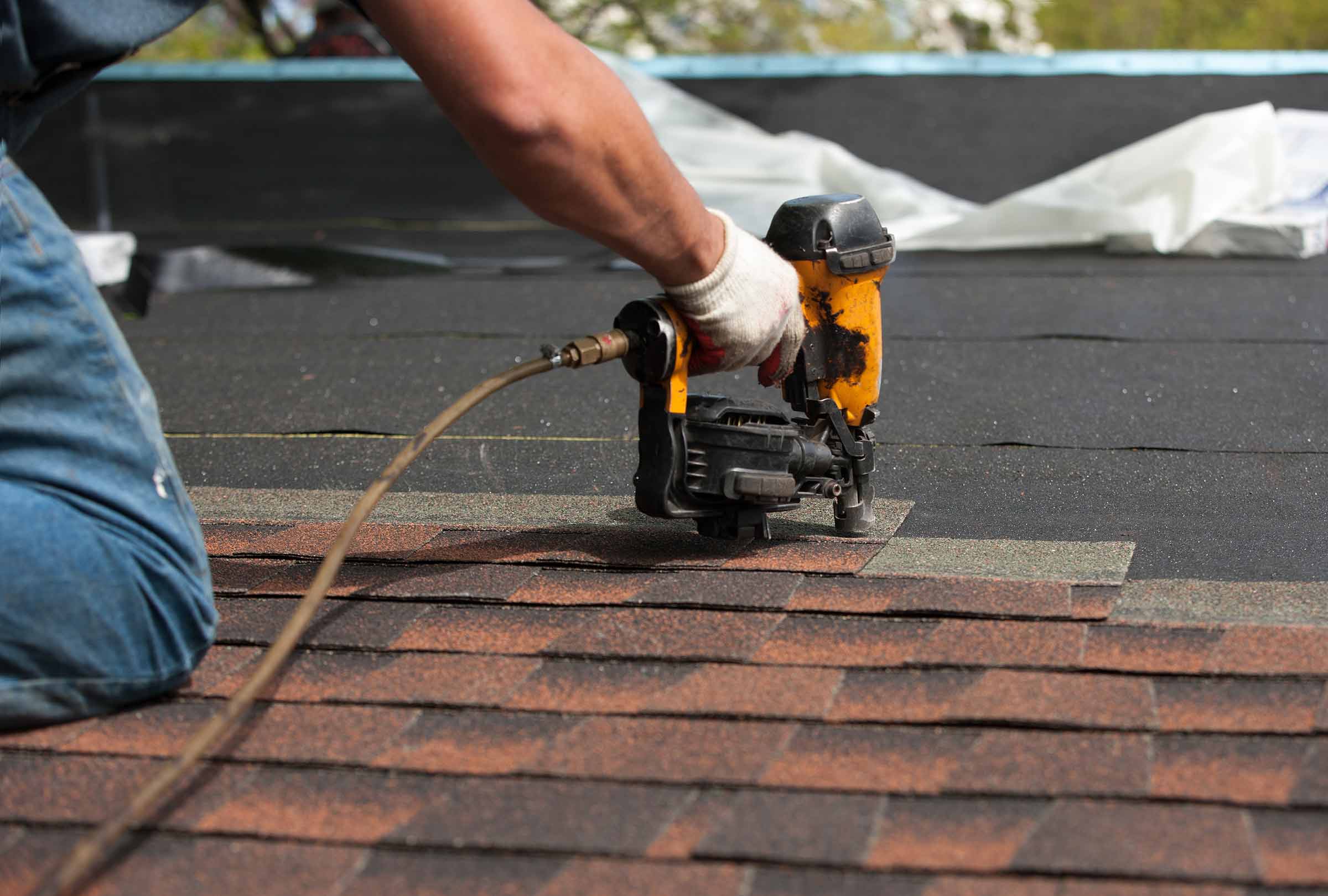 shingles roofing Chicago
